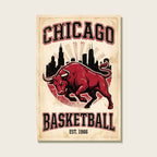 Chicago Basketball vintage bull canvas front view