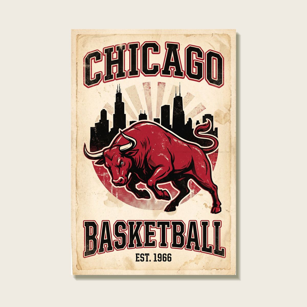 Chicago Basketball vintage bull canvas front view