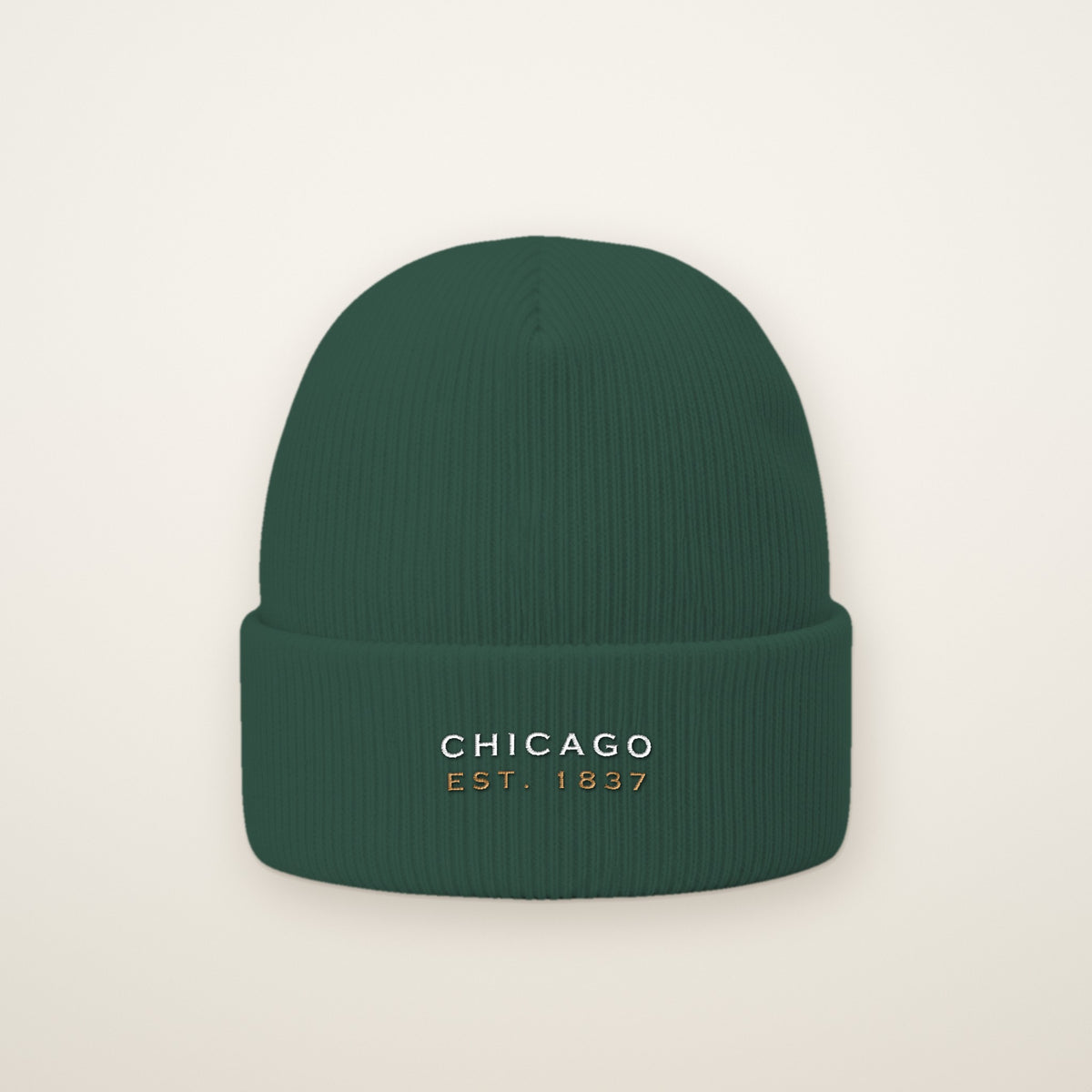 Chicago Est. 1837 embroidered cuffed beanie in Spruce green