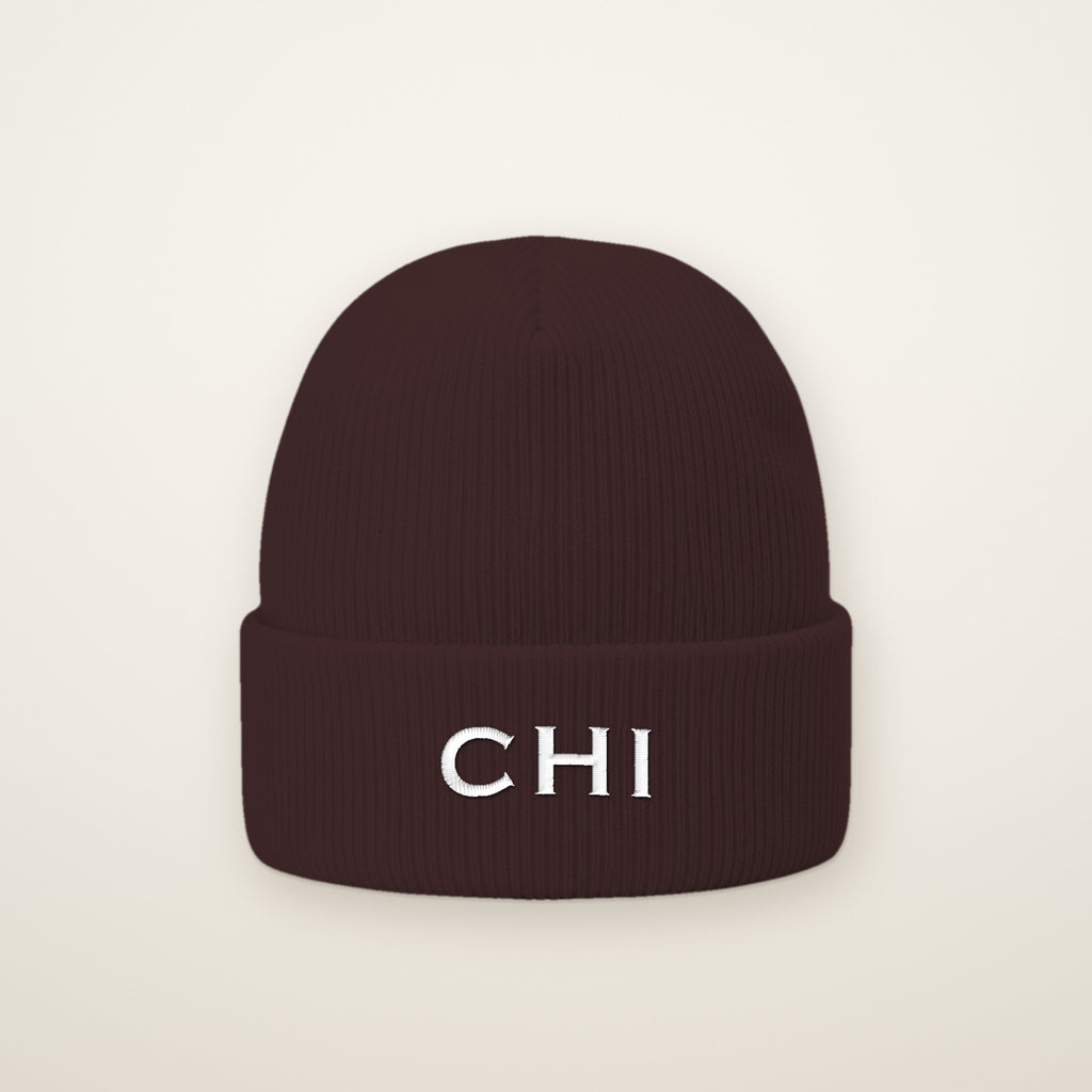CHI embroidered cuffed beanie in Brown