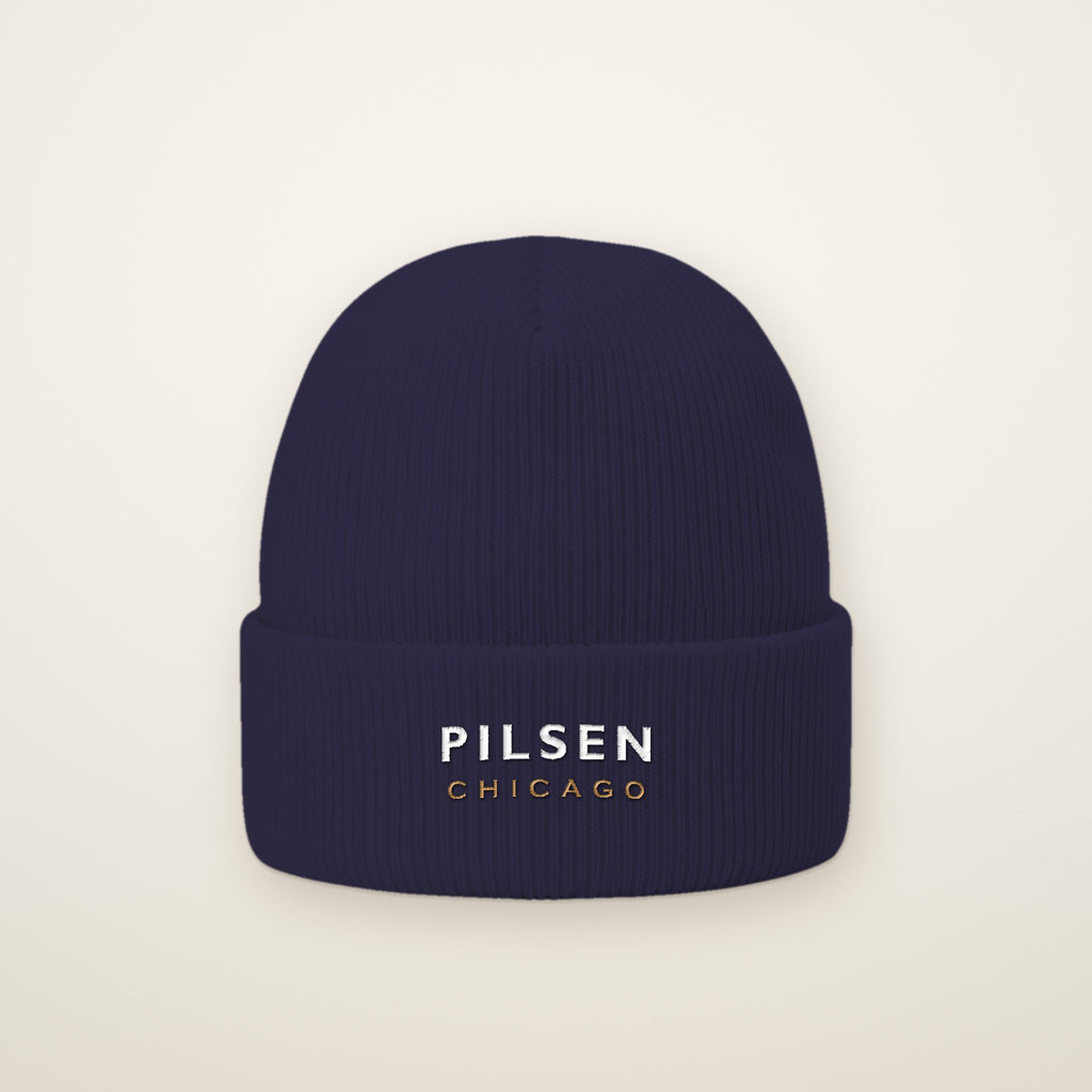 Pilsen Chicago Embroidered Cuffed Beanie in Navy