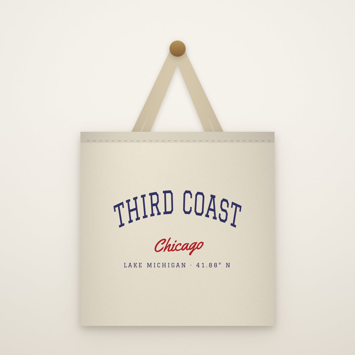 The Third Coast Canvas Tote Bag hanging from a brass peg on an ivory wall