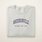 Andersonville Chicago embroidered crewneck sweatshirt, Ash, navy embroidery