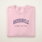 Andersonville Chicago embroidered crewneck sweatshirt, Light Pink, navy embroidery