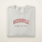 Andersonville Chicago embroidered crewneck sweatshirt, Ash, red embroidery