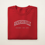 Andersonville Chicago embroidered crewneck sweatshirt, Red, white embroidery