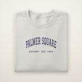 Palmer Square Chicago Embroidered Crewneck — Navy Thread on Ash