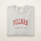 Pullman Chicago Embroidered Crewneck — Red Thread on Ash