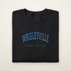 Wrigleyville Chicago Embroidered Crewneck — Sky Blue Thread on Black