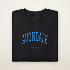 Avondale Chicago Embroidered Crewneck — Sky Blue Thread on Black
