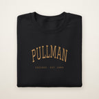 Pullman Chicago Embroidered Crewneck — Gold Thread on Black