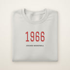 Chicago Basketball Embroidered Crewneck — 1966 in Ash, flat lay