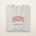 Chicago Basketball Embroidered Crewneck — Hoops in Ash, flat lay