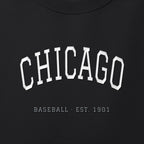 Close-up of the white & silver grey satin-stitch Chicago Arch embroidery