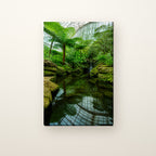 Garfield Park Conservatory Canvas Wall Art | The Fern Room canvas on a warm ivory wall