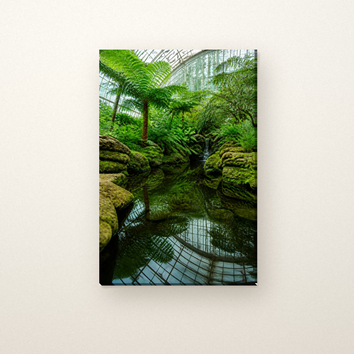 Garfield Park Conservatory Canvas Wall Art | The Fern Room canvas on a warm ivory wall