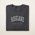 Roseland Chicago Embroidered Crewneck — White Thread on Dark Heather