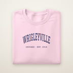 Wrigleyville Chicago Embroidered Crewneck — Navy Thread on Light Pink