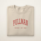 Pullman Chicago Embroidered Crewneck — Red Thread on Sand