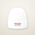 Ukrainian Village Chicago Embroidered Cuffed Beanie, Red Thread, front view